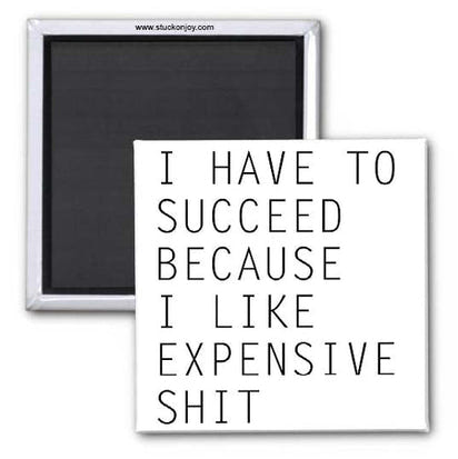 I HAVE TO SUCCEED BECAUSE I LIKE EXPENSIVE SH*T, 2x2 MAGNET AO