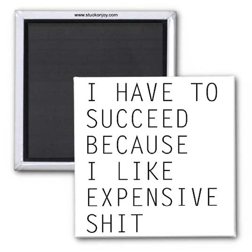 I HAVE TO SUCCEED BECAUSE I LIKE EXPENSIVE SH*T, 2x2 MAGNET AO