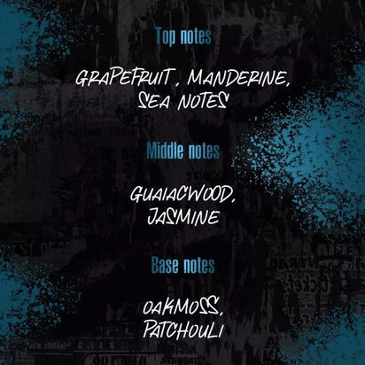 The Shave Factory Straight Edge Razor Kit (Steel Razor/Barber No22 AO