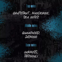 The Shave Factory Straight Edge Razor Kit (Steel Razor/Barber No22 AO