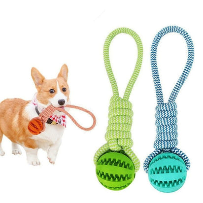 Durable Rubber Ball Chew Toy with Cotton Rope AO