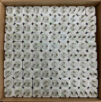 5V 1A USB Wall Charger/ Charging Block 10/20-Pack Home Port Plug Cube AO