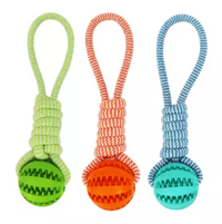 Durable Rubber Ball Chew Toy with Cotton Rope AO