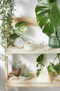 Space Clearing Candle/ Intention Candle / Organic Soy Candle / Candle AO