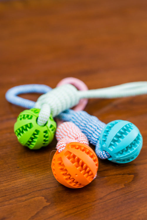 Durable Rubber Ball Chew Toy with Cotton Rope AO